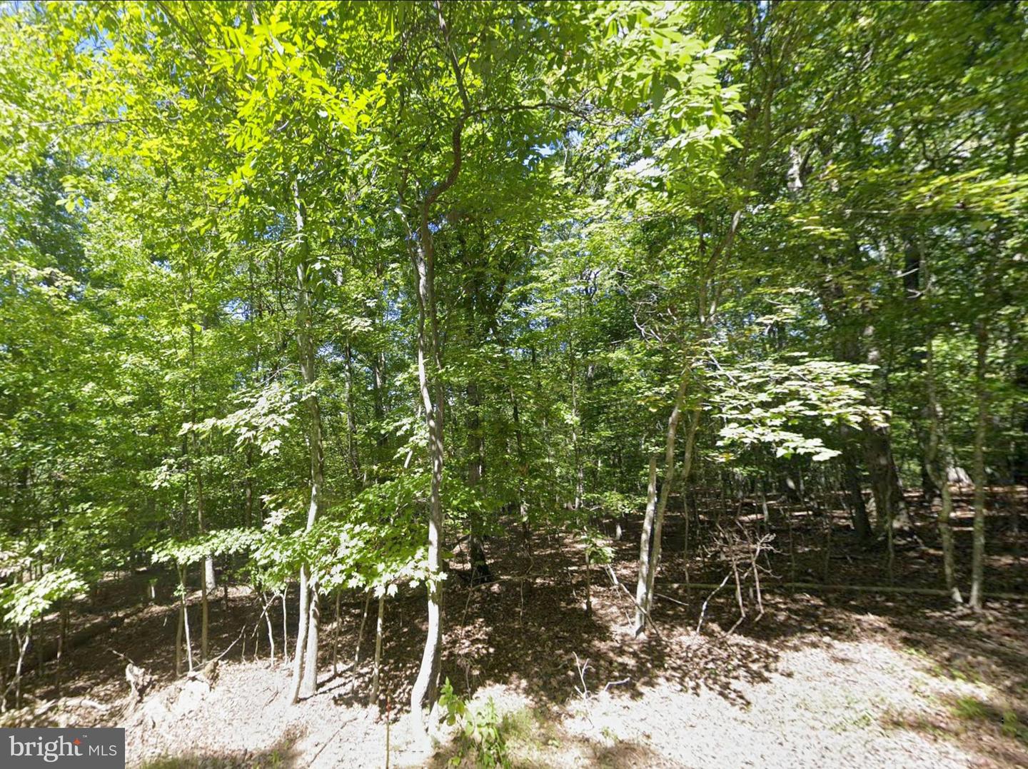 00 ELDERBERRY LN, BUENA VISTA, Virginia 24416, ,Land,For sale,00 ELDERBERRY LN,VARB2000164 MLS # VARB2000164 00 ELDERBERRY LN, BUENA VISTA, Virginia 24416, ,Land,For sale,00 ELDERBERRY LN,VARB2000164 MLS # VARB2000164