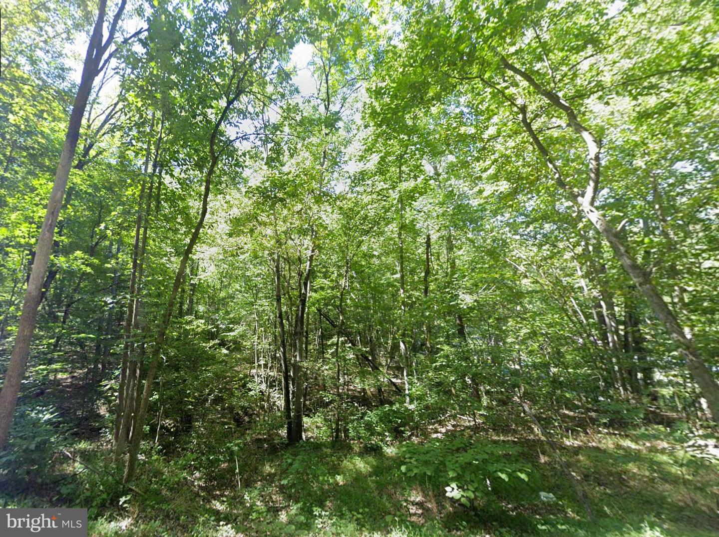 00 ELDERBERRY LN, BUENA VISTA, Virginia 24416, ,Land,For sale,00 ELDERBERRY LN,VARB2000164 MLS # VARB2000164