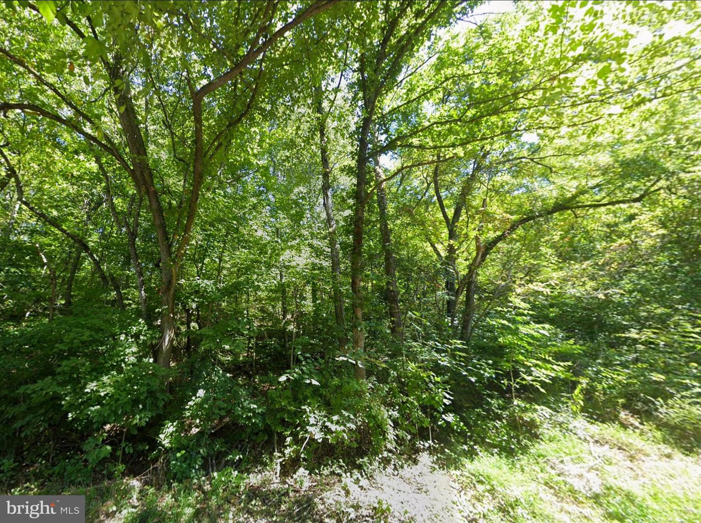 00 ELDERBERRY LN, BUENA VISTA, Virginia 24416, ,Land,For sale,00 ELDERBERRY LN,VARB2000164 MLS # VARB2000164