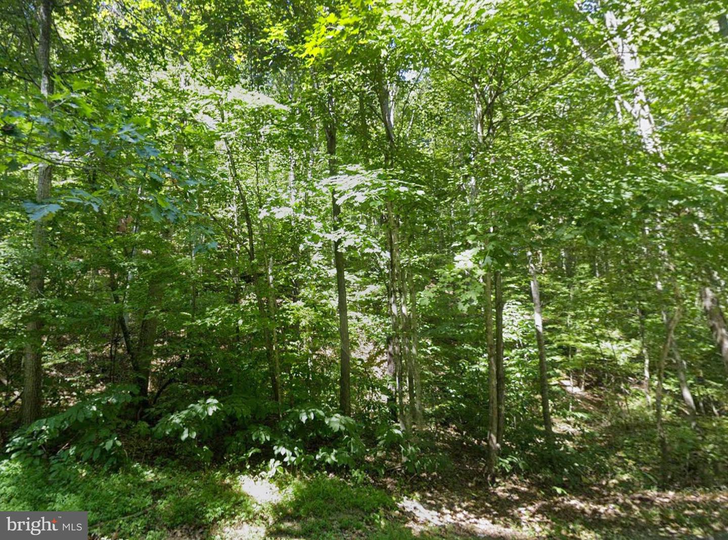 00 ELDERBERRY LN, BUENA VISTA, Virginia 24416, ,Land,For sale,00 ELDERBERRY LN,VARB2000164 MLS # VARB2000164