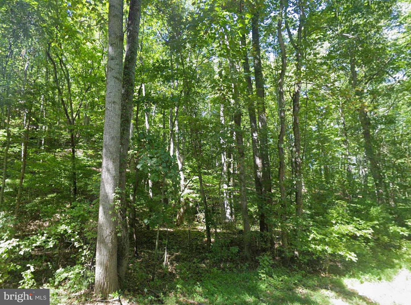 00 ELDERBERRY LN, BUENA VISTA, Virginia 24416, ,Land,For sale,00 ELDERBERRY LN,VARB2000164 MLS # VARB2000164