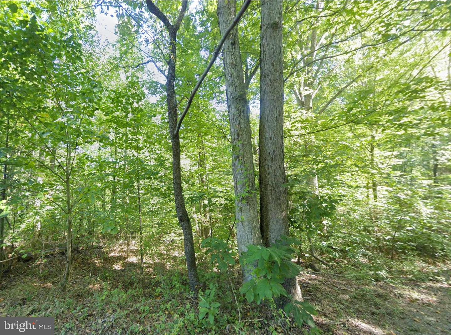 00 ELDERBERRY LN, BUENA VISTA, Virginia 24416, ,Land,For sale,00 ELDERBERRY LN,VARB2000164 MLS # VARB2000164