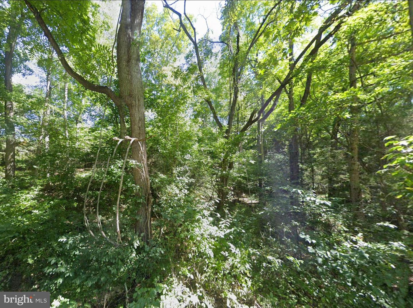 00 ELDERBERRY LN, BUENA VISTA, Virginia 24416, ,Land,For sale,00 ELDERBERRY LN,VARB2000164 MLS # VARB2000164