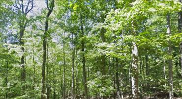 00 ELDERBERRY LN, BUENA VISTA, Virginia 24416, ,Land,For sale,00 ELDERBERRY LN,VARB2000164 MLS # VARB2000164