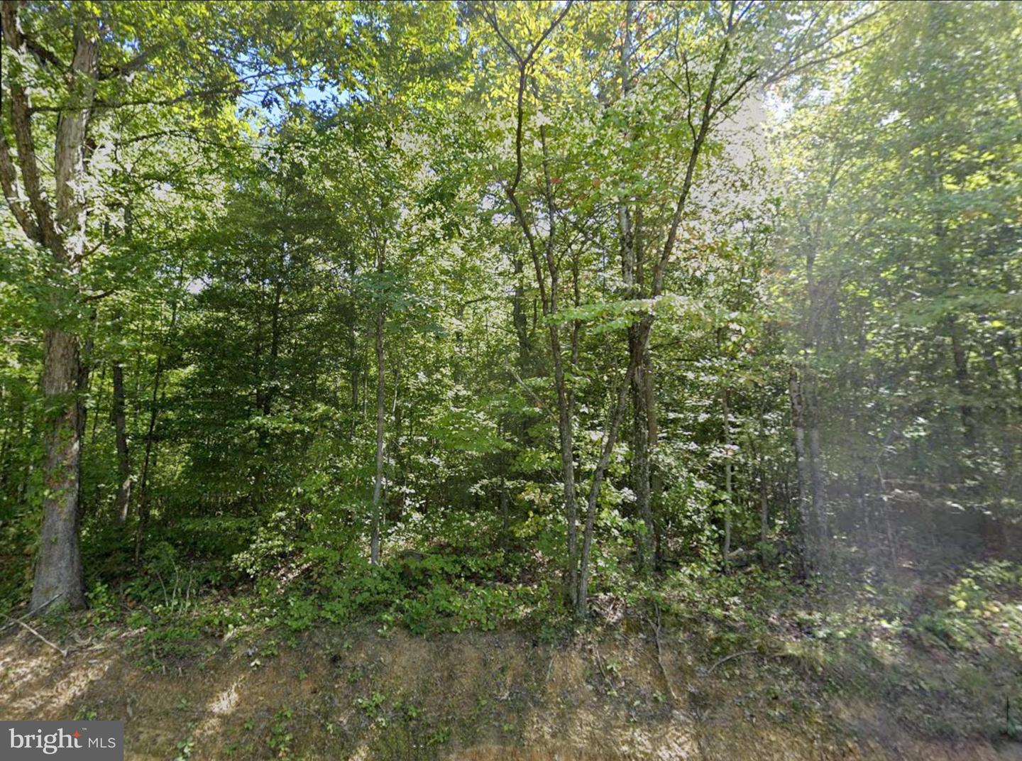 00 FIELDSTONE LN, RHOADESVILLE, Virginia 22542, ,Land,For sale,00 FIELDSTONE LN,VAOR2013158 MLS # VAOR2013158