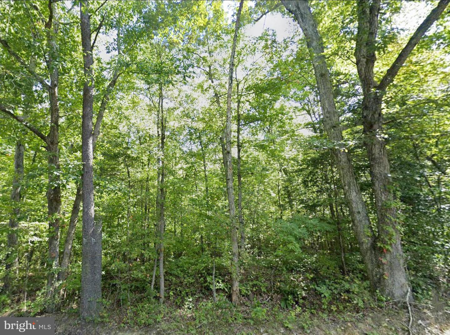 00 FIELDSTONE LN, RHOADESVILLE, Virginia 22542, ,Land,For sale,00 FIELDSTONE LN,VAOR2013158 MLS # VAOR2013158