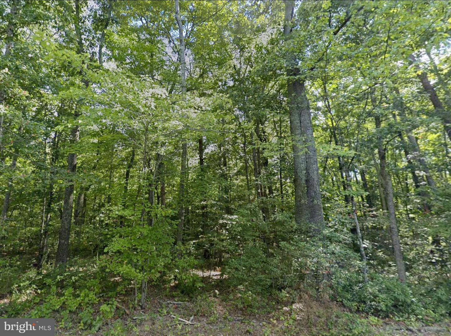 00 FIELDSTONE LN, RHOADESVILLE, Virginia 22542, ,Land,For sale,00 FIELDSTONE LN,VAOR2013158 MLS # VAOR2013158