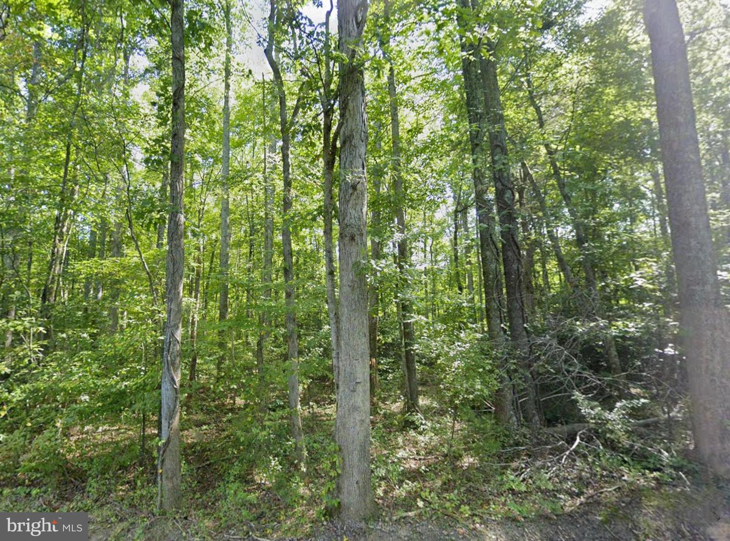 00 FIELDSTONE LN, RHOADESVILLE, Virginia 22542, ,Land,For sale,00 FIELDSTONE LN,VAOR2013158 MLS # VAOR2013158