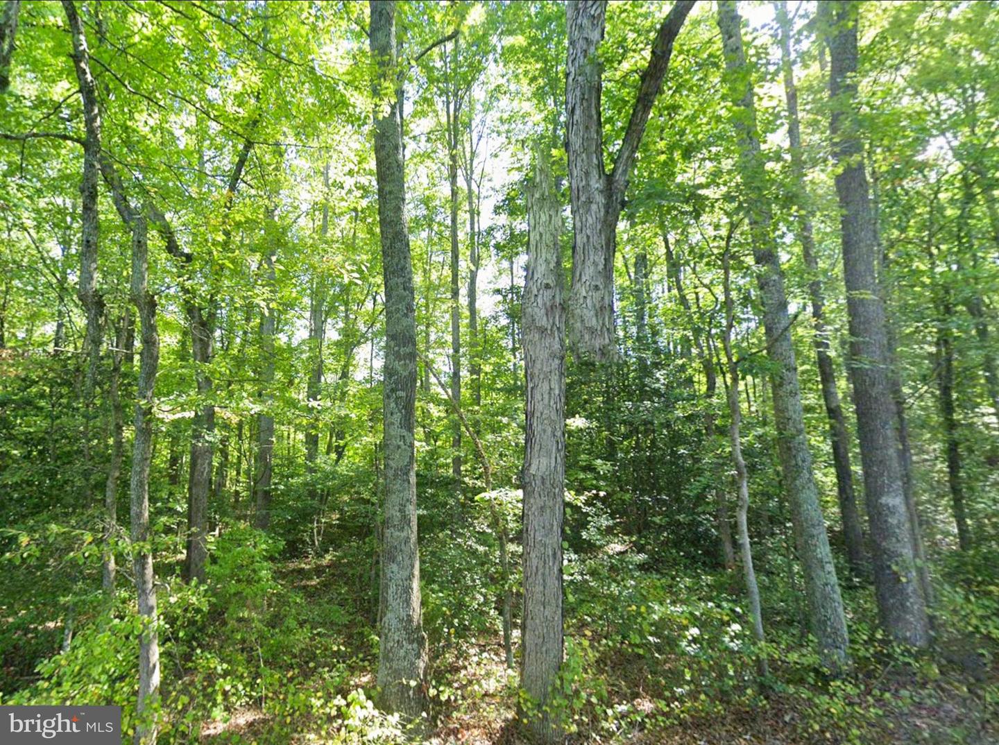 00 FIELDSTONE LN, RHOADESVILLE, Virginia 22542, ,Land,For sale,00 FIELDSTONE LN,VAOR2013158 MLS # VAOR2013158