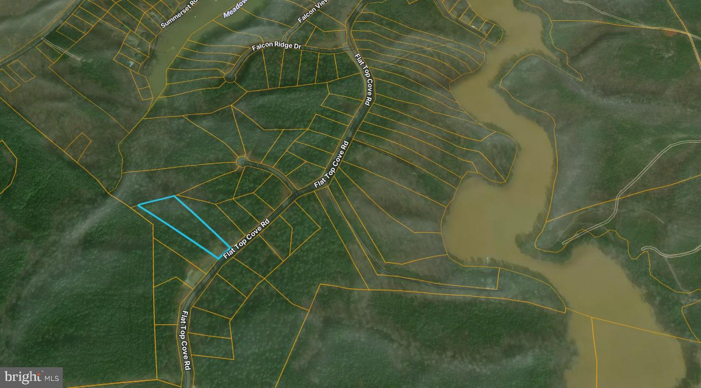 00 FLAT TOP COVE RD, GRETNA, Virginia 24557, ,Land,For sale,00 FLAT TOP COVE RD,VAPI2000120 MLS # VAPI2000120