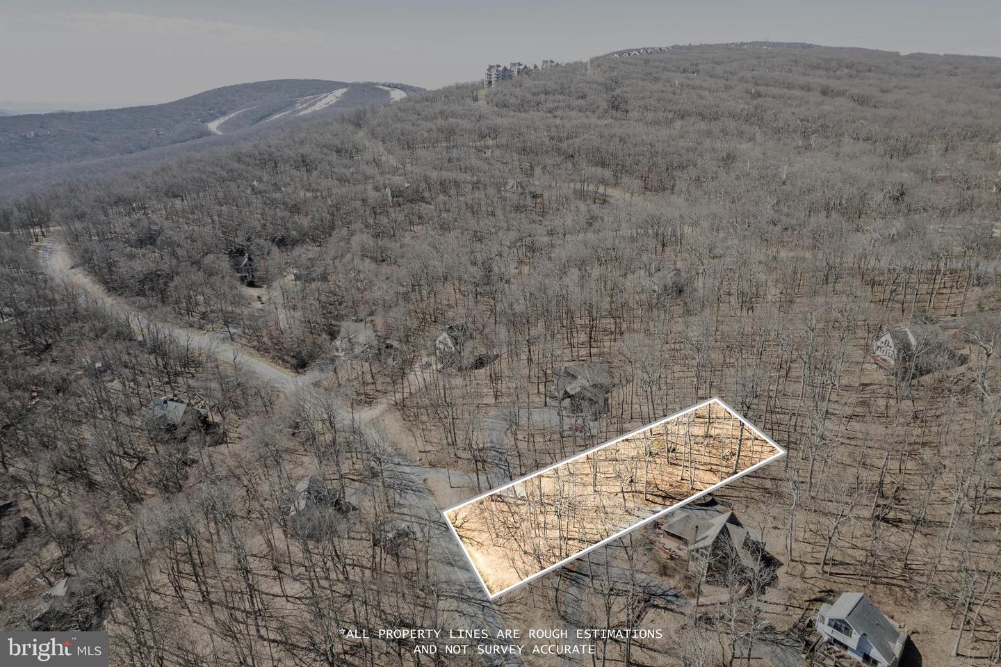 688 SHAMOKIN SPRINGS TRL TRL, WINTERGREEN, Virginia 22958, ,Land,For sale,688 SHAMOKIN SPRINGS TRL TRL,VANL2000626 MLS # VANL2000626