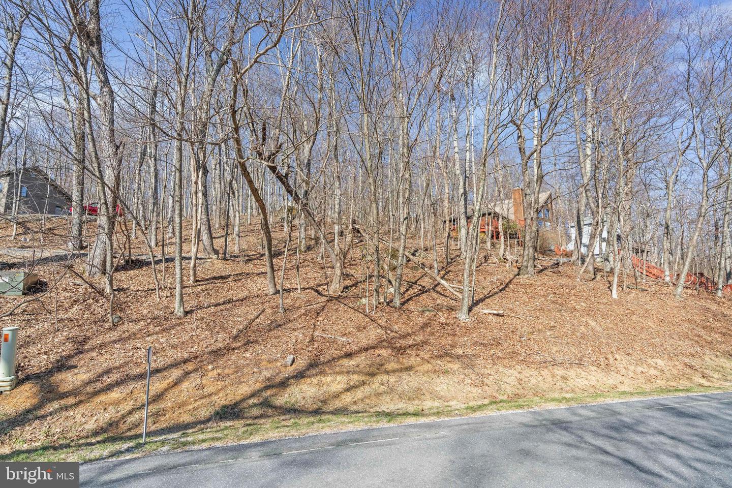 688 SHAMOKIN SPRINGS TRL TRL, WINTERGREEN, Virginia 22958, ,Land,For sale,688 SHAMOKIN SPRINGS TRL TRL,VANL2000626 MLS # VANL2000626