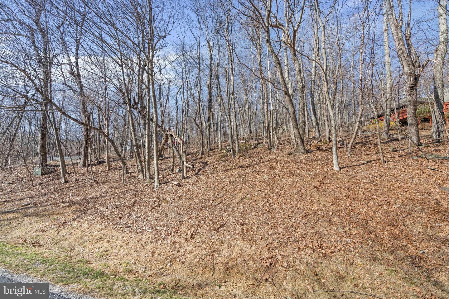 688 SHAMOKIN SPRINGS TRL TRL, WINTERGREEN, Virginia 22958, ,Land,For sale,688 SHAMOKIN SPRINGS TRL TRL,VANL2000626 MLS # VANL2000626