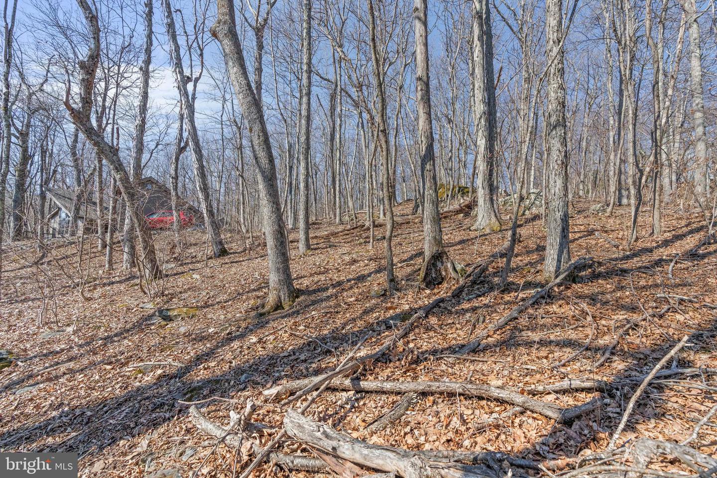 688 SHAMOKIN SPRINGS TRL TRL, WINTERGREEN, Virginia 22958, ,Land,For sale,688 SHAMOKIN SPRINGS TRL TRL,VANL2000626 MLS # VANL2000626