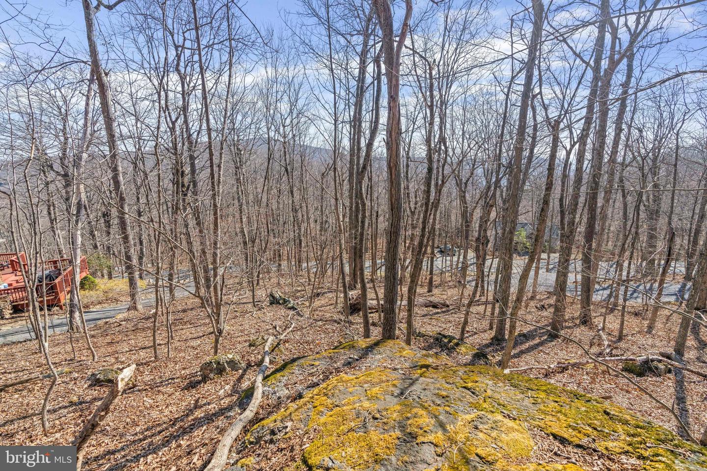 688 SHAMOKIN SPRINGS TRL TRL, WINTERGREEN, Virginia 22958, ,Land,For sale,688 SHAMOKIN SPRINGS TRL TRL,VANL2000626 MLS # VANL2000626