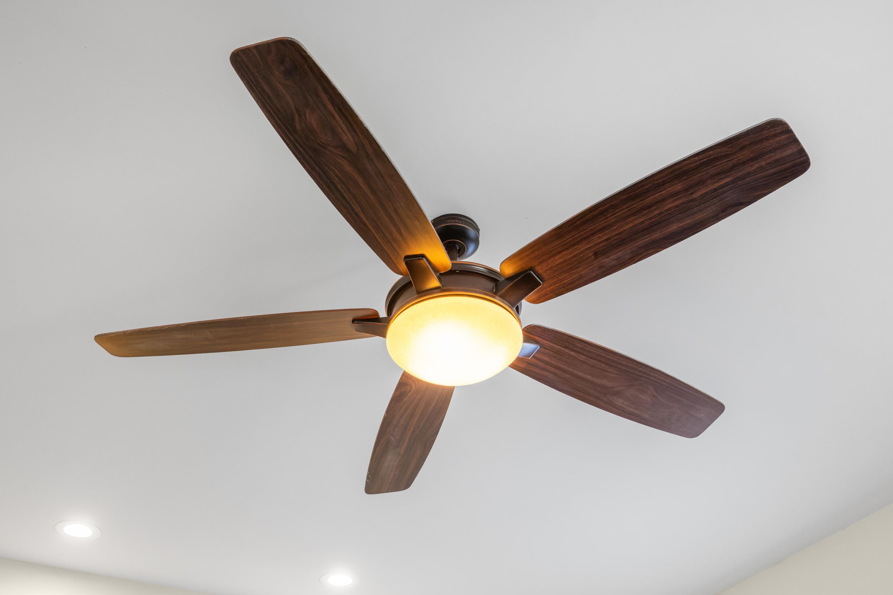 177 TOMASVILLE DR, WAYNESBORO, Virginia 22980, 4 Bedrooms Bedrooms, ,2 BathroomsBathrooms,Residential,177 TOMASVILLE DR,672616 MLS # 672616