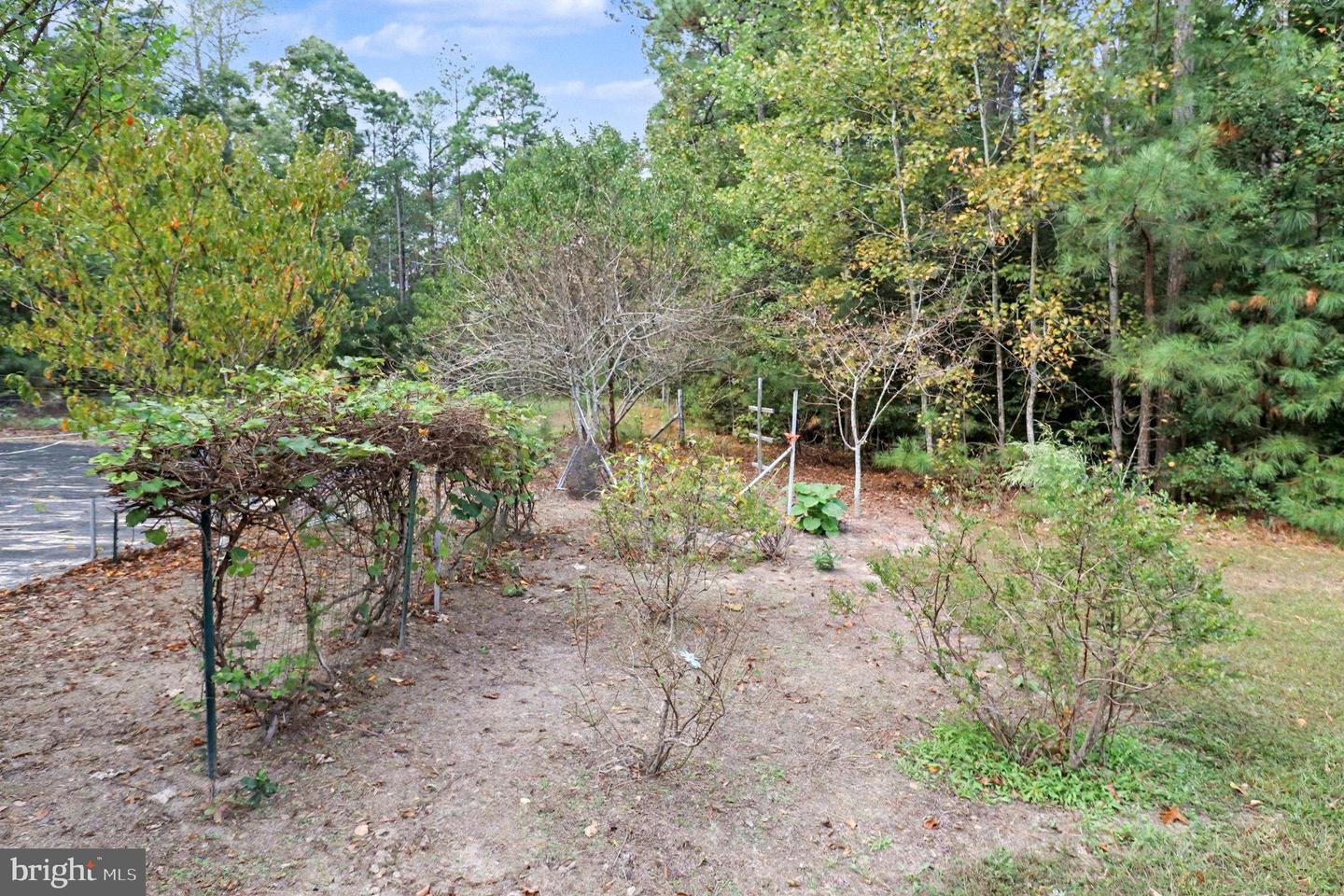 18056 OBRIEN CT, MILFORD, Virginia 22514, 4 Bedrooms Bedrooms, ,2 BathroomsBathrooms,Residential,For sale,18056 OBRIEN CT,VACV2009414 MLS # VACV2009414