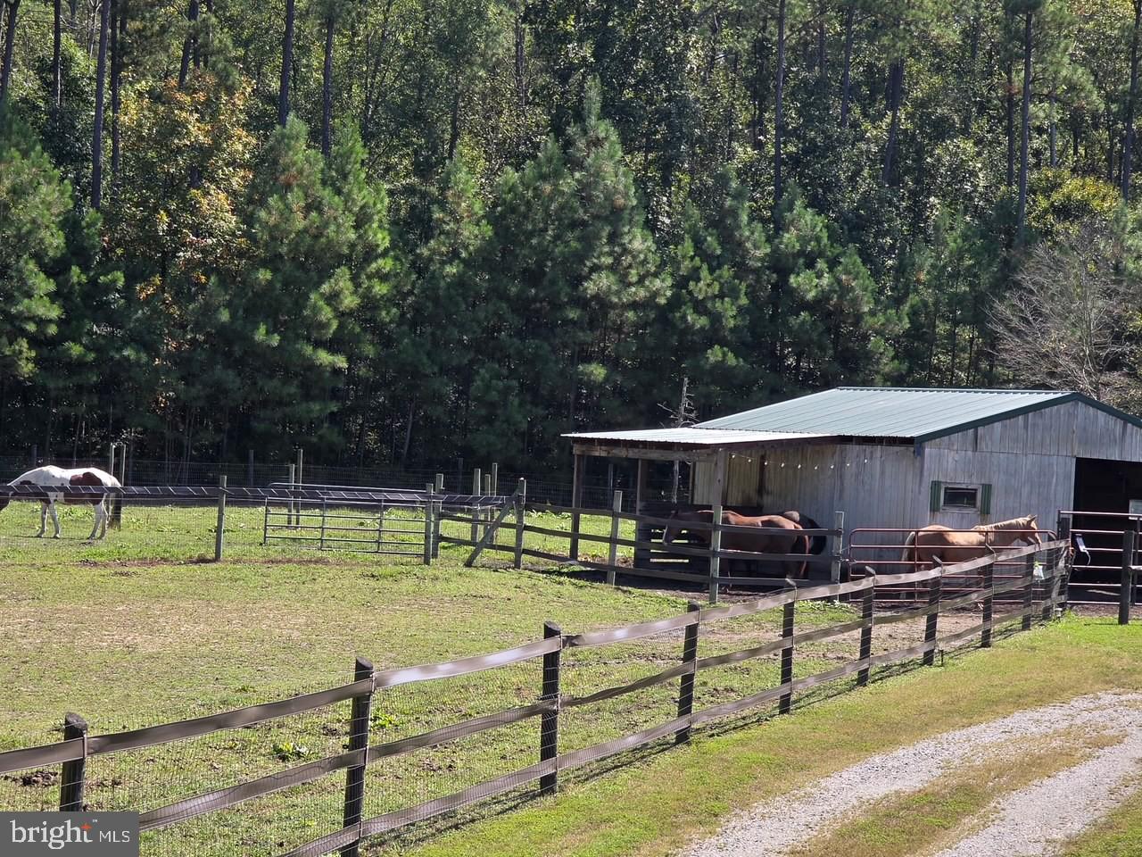 18056 OBRIEN CT, MILFORD, Virginia 22514, 4 Bedrooms Bedrooms, ,2 BathroomsBathrooms,Residential,For sale,18056 OBRIEN CT,VACV2009414 MLS # VACV2009414