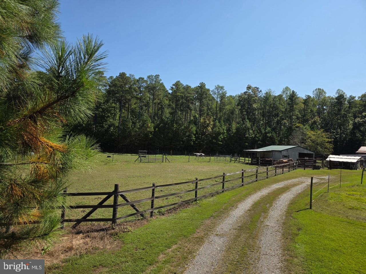 18056 OBRIEN CT, MILFORD, Virginia 22514, 4 Bedrooms Bedrooms, ,2 BathroomsBathrooms,Residential,For sale,18056 OBRIEN CT,VACV2009414 MLS # VACV2009414