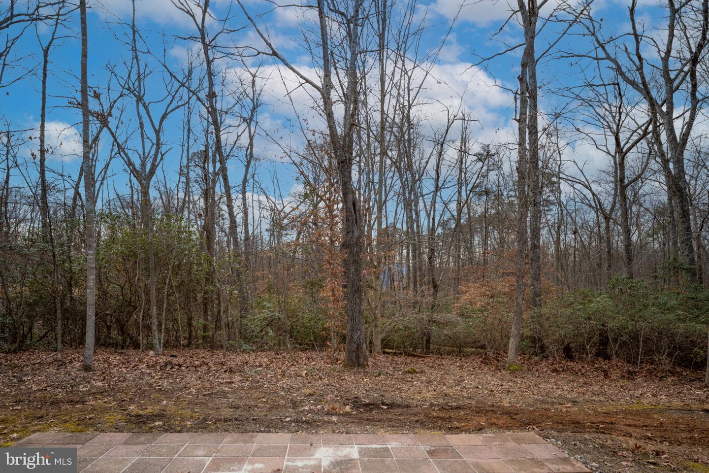 8200 HOWARD TRL, FREDERICKSBURG, Virginia 22407, 6 Bedrooms Bedrooms, ,4 BathroomsBathrooms,Residential,For sale,8200 HOWARD TRL,VASP2034580 MLS # VASP2034580 8200 HOWARD TRL, FREDERICKSBURG, Virginia 22407, 6 Bedrooms Bedrooms, ,4 BathroomsBathrooms,Residential,For sale,8200 HOWARD TRL,VASP2034580 MLS # VASP2034580