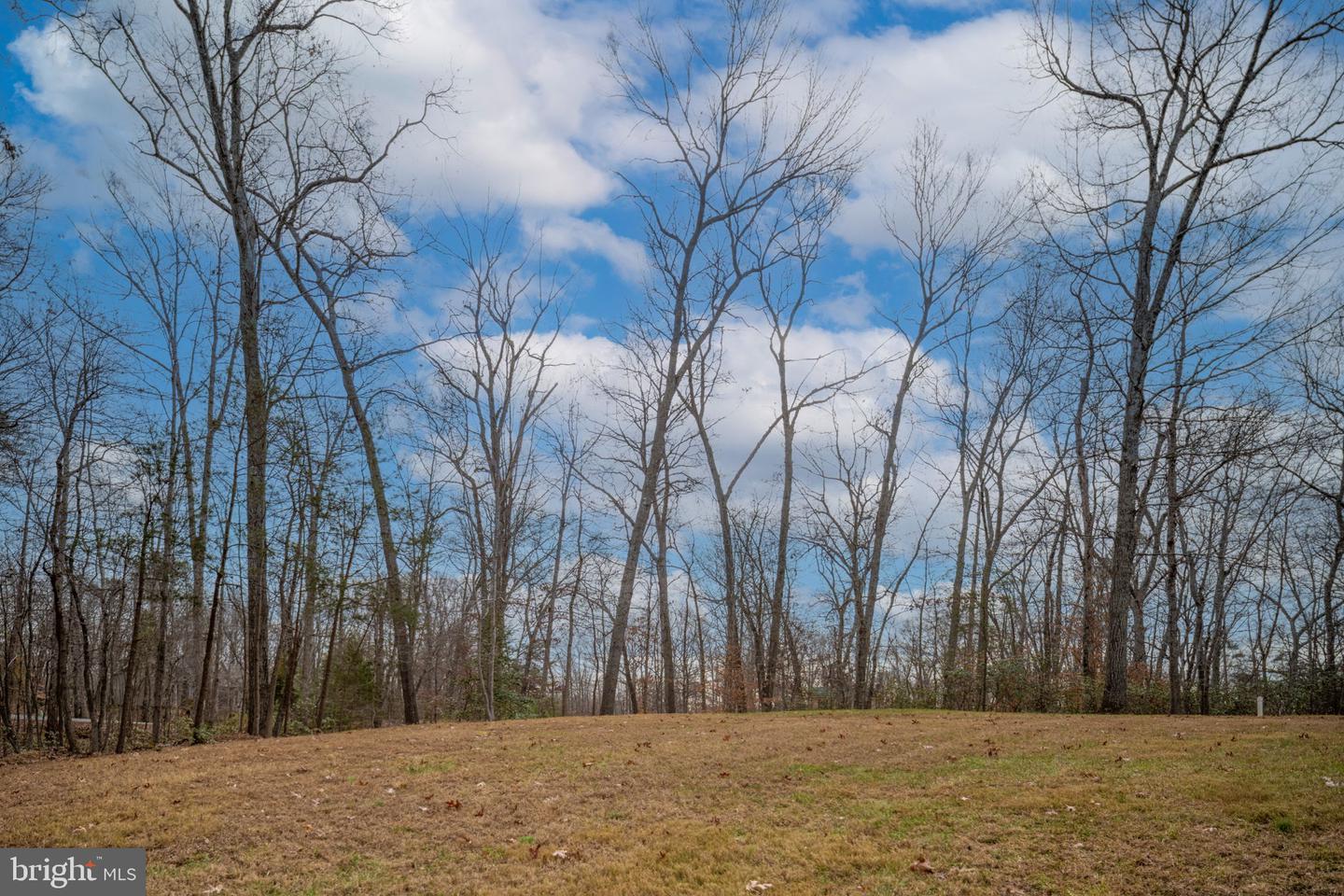 8200 HOWARD TRL, FREDERICKSBURG, Virginia 22407, 6 Bedrooms Bedrooms, ,4 BathroomsBathrooms,Residential,For sale,8200 HOWARD TRL,VASP2034580 MLS # VASP2034580 8200 HOWARD TRL, FREDERICKSBURG, Virginia 22407, 6 Bedrooms Bedrooms, ,4 BathroomsBathrooms,Residential,For sale,8200 HOWARD TRL,VASP2034580 MLS # VASP2034580