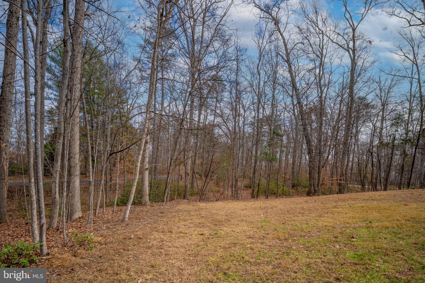 8200 HOWARD TRL, FREDERICKSBURG, Virginia 22407, 6 Bedrooms Bedrooms, ,4 BathroomsBathrooms,Residential,For sale,8200 HOWARD TRL,VASP2034580 MLS # VASP2034580 8200 HOWARD TRL, FREDERICKSBURG, Virginia 22407, 6 Bedrooms Bedrooms, ,4 BathroomsBathrooms,Residential,For sale,8200 HOWARD TRL,VASP2034580 MLS # VASP2034580