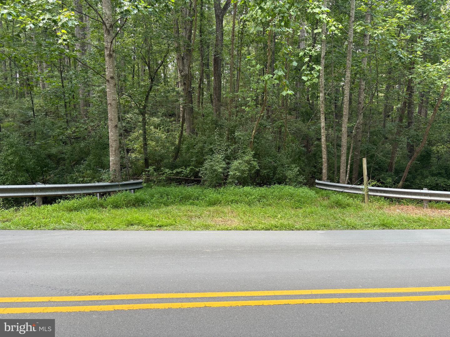 0 WEAVER ROAD, AMISSVILLE, Virginia 20106, ,Land,For sale,0 WEAVER ROAD,VARP2002216 MLS # VARP2002216