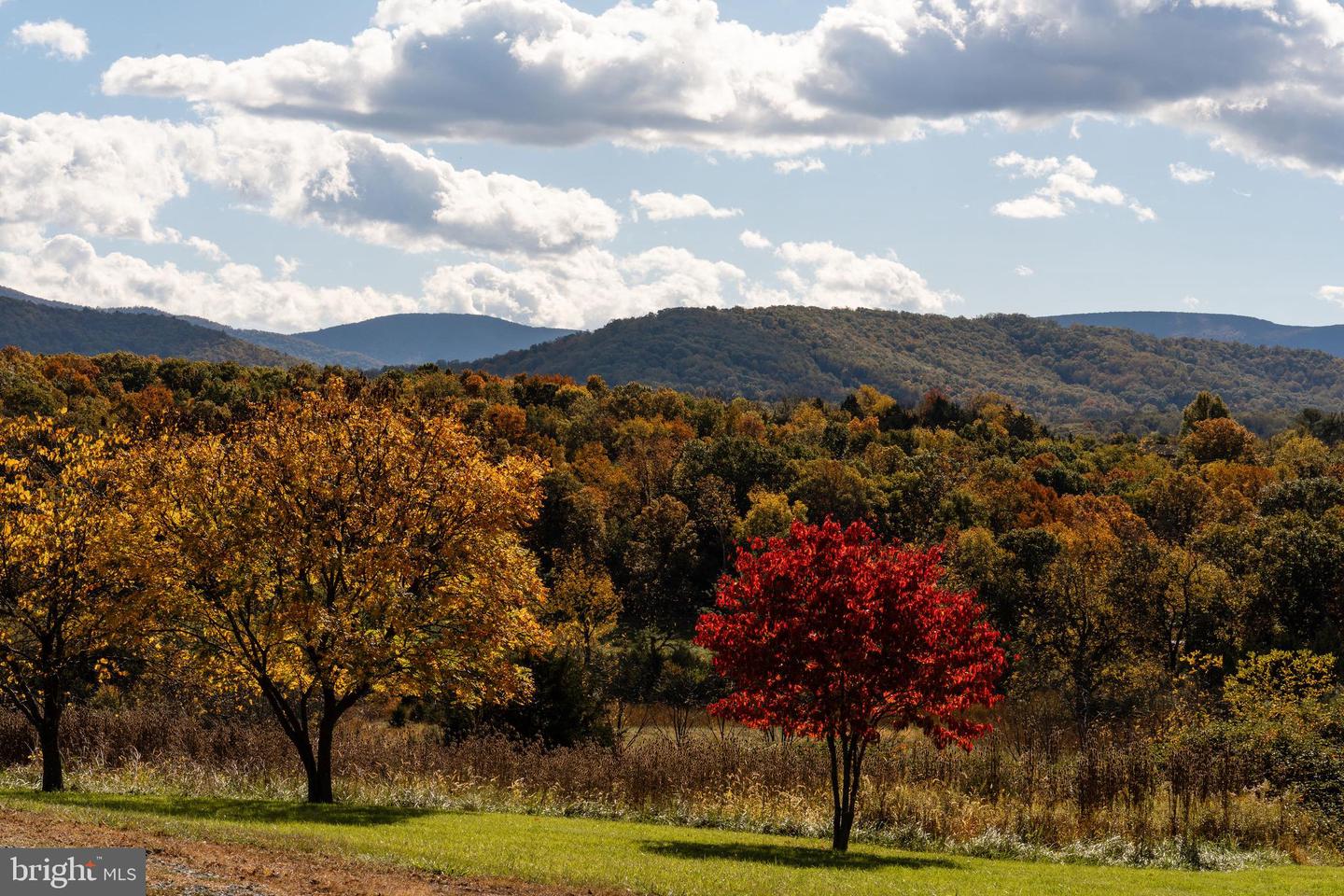 461 THUNDERBIRD RD, BENTONVILLE, Virginia 22610, ,Farm,For sale,461 THUNDERBIRD RD,VAWR2013184 MLS # VAWR2013184 461 THUNDERBIRD RD, BENTONVILLE, Virginia 22610, ,Farm,For sale,461 THUNDERBIRD RD,VAWR2013184 MLS # VAWR2013184