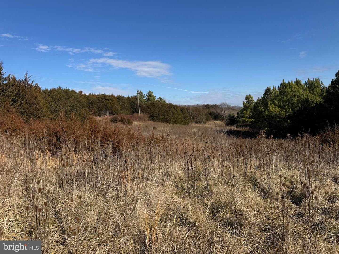 461 THUNDERBIRD RD, BENTONVILLE, Virginia 22610, ,Farm,For sale,461 THUNDERBIRD RD,VAWR2013184 MLS # VAWR2013184 461 THUNDERBIRD RD, BENTONVILLE, Virginia 22610, ,Farm,For sale,461 THUNDERBIRD RD,VAWR2013184 MLS # VAWR2013184