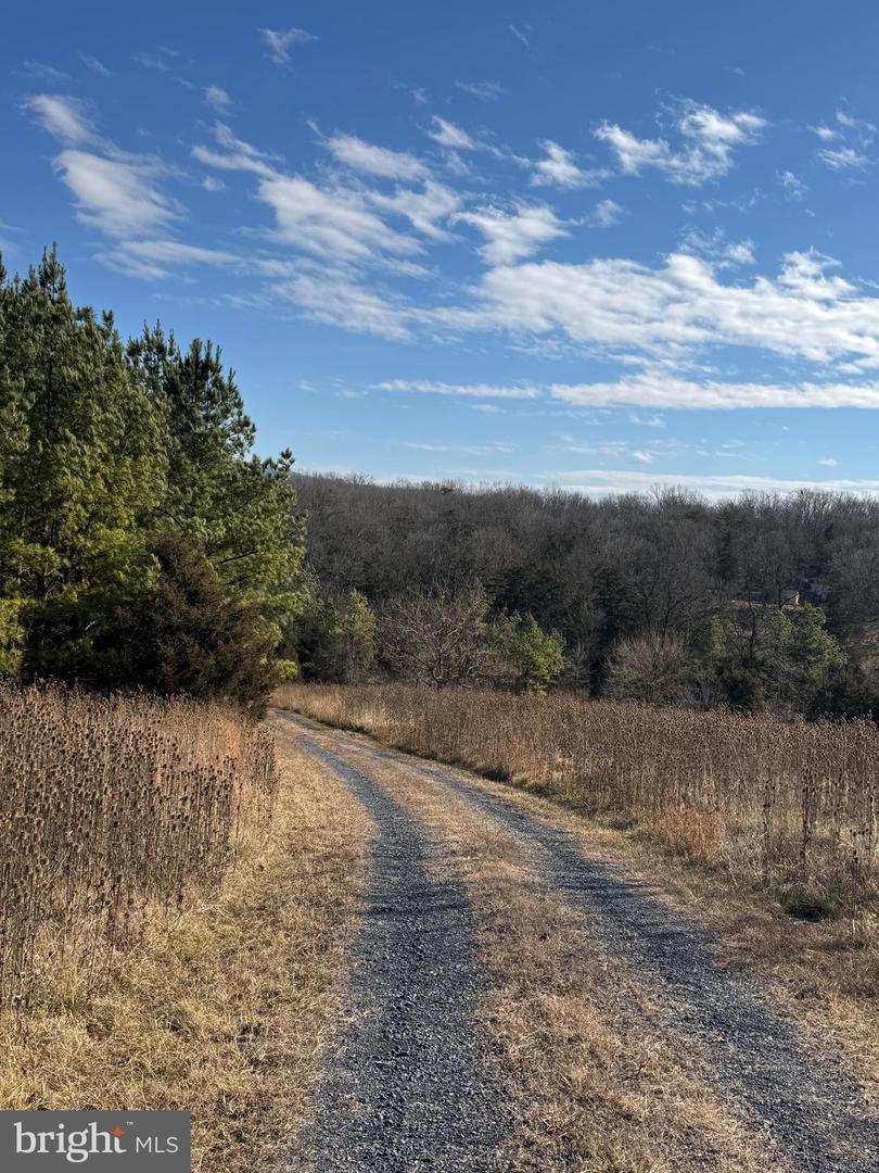 461 THUNDERBIRD RD, BENTONVILLE, Virginia 22610, ,Farm,For sale,461 THUNDERBIRD RD,VAWR2013184 MLS # VAWR2013184 461 THUNDERBIRD RD, BENTONVILLE, Virginia 22610, ,Farm,For sale,461 THUNDERBIRD RD,VAWR2013184 MLS # VAWR2013184