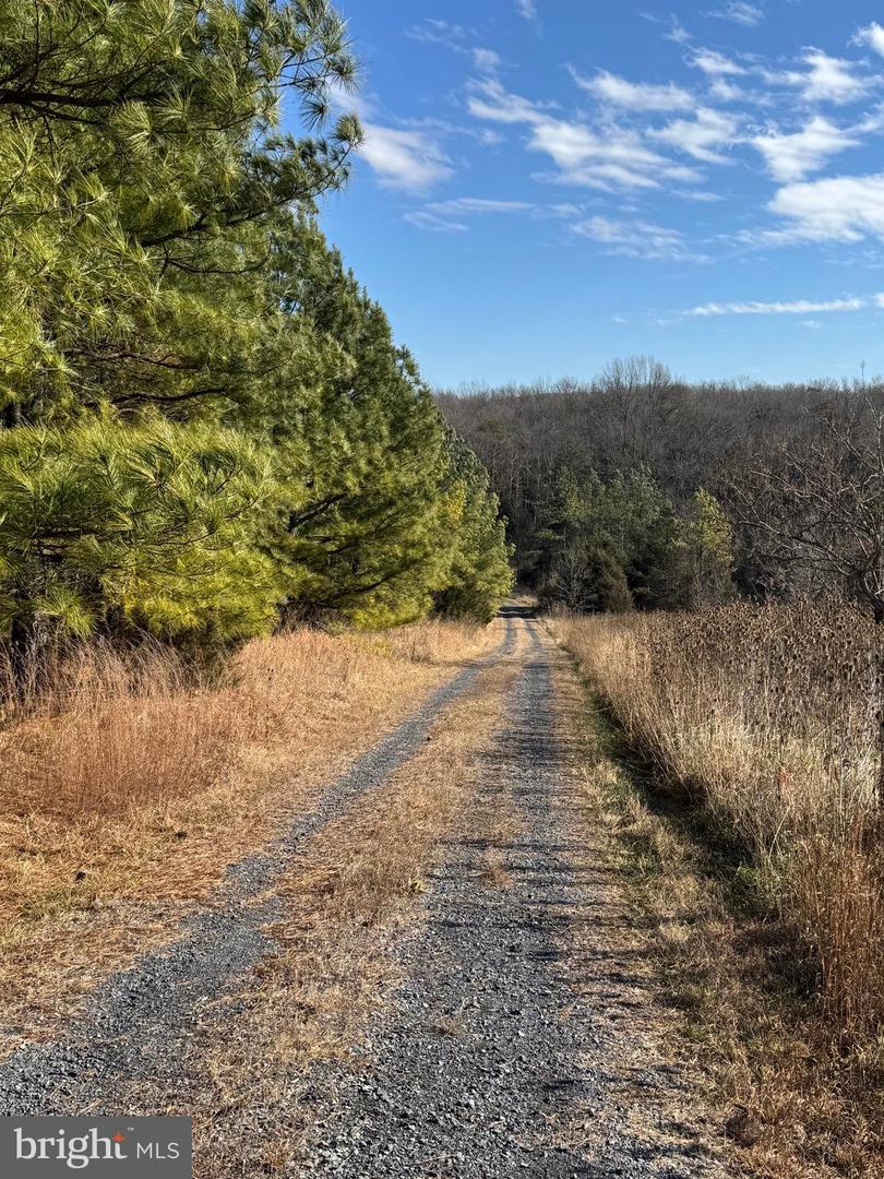 461 THUNDERBIRD RD, BENTONVILLE, Virginia 22610, ,Farm,For sale,461 THUNDERBIRD RD,VAWR2013184 MLS # VAWR2013184 461 THUNDERBIRD RD, BENTONVILLE, Virginia 22610, ,Farm,For sale,461 THUNDERBIRD RD,VAWR2013184 MLS # VAWR2013184