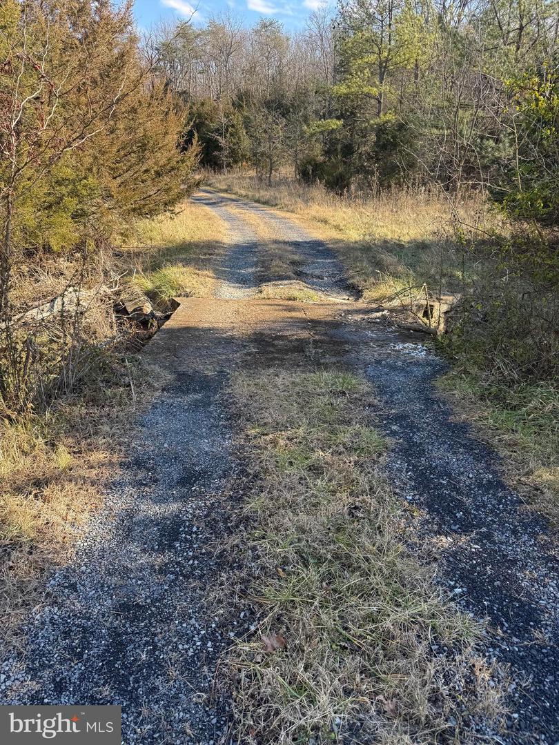 461 THUNDERBIRD RD, BENTONVILLE, Virginia 22610, ,Farm,For sale,461 THUNDERBIRD RD,VAWR2013184 MLS # VAWR2013184 461 THUNDERBIRD RD, BENTONVILLE, Virginia 22610, ,Farm,For sale,461 THUNDERBIRD RD,VAWR2013184 MLS # VAWR2013184