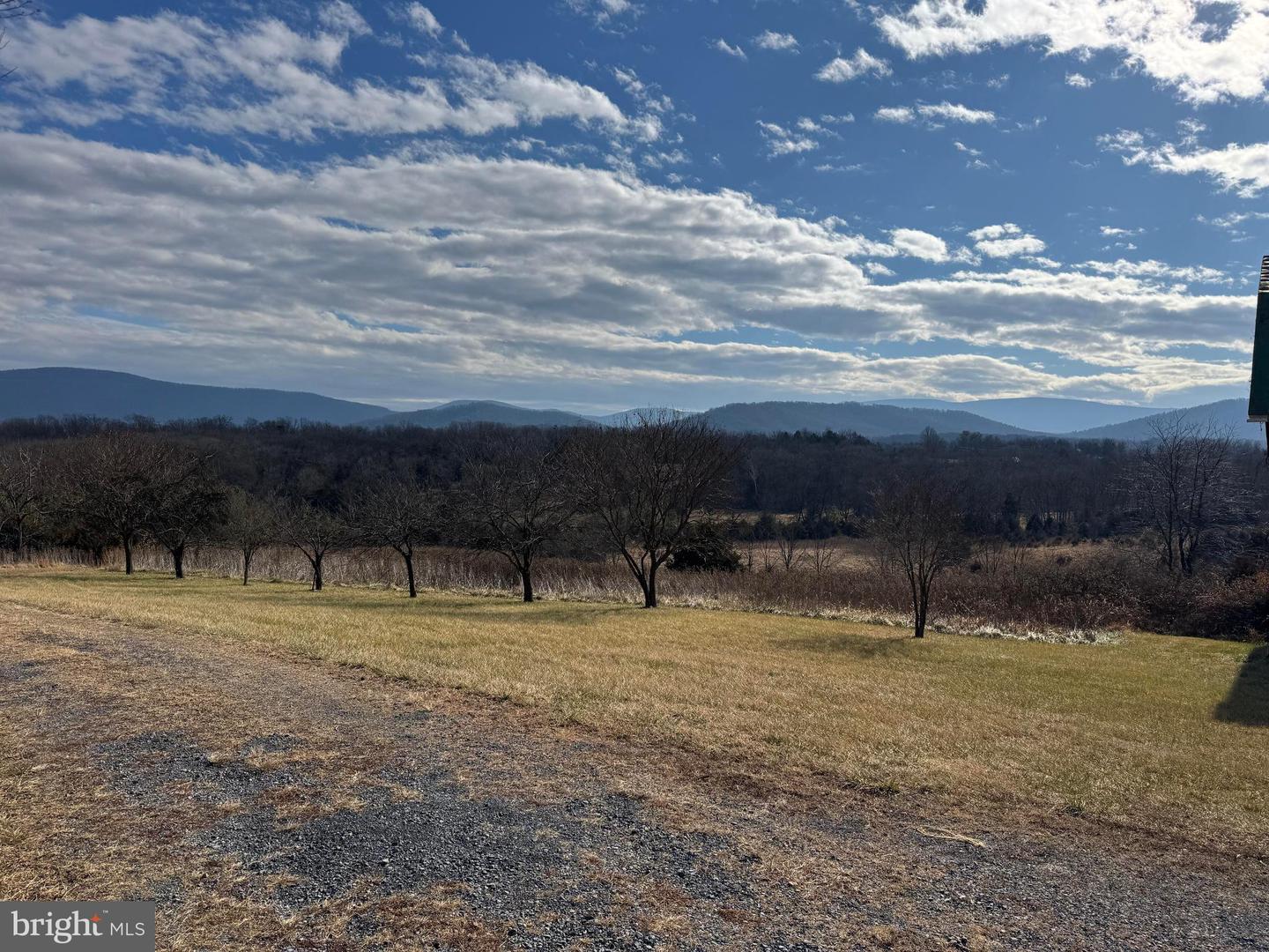 461 THUNDERBIRD RD, BENTONVILLE, Virginia 22610, ,Farm,For sale,461 THUNDERBIRD RD,VAWR2013184 MLS # VAWR2013184 461 THUNDERBIRD RD, BENTONVILLE, Virginia 22610, ,Farm,For sale,461 THUNDERBIRD RD,VAWR2013184 MLS # VAWR2013184