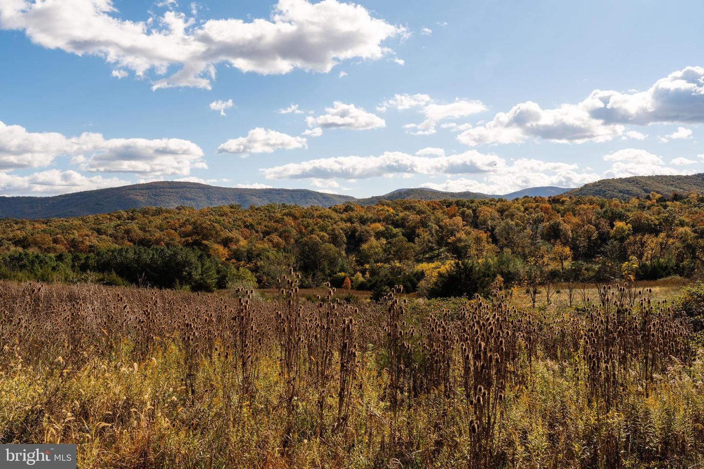 461 THUNDERBIRD RD, BENTONVILLE, Virginia 22610, ,Farm,For sale,461 THUNDERBIRD RD,VAWR2013184 MLS # VAWR2013184 461 THUNDERBIRD RD, BENTONVILLE, Virginia 22610, ,Farm,For sale,461 THUNDERBIRD RD,VAWR2013184 MLS # VAWR2013184