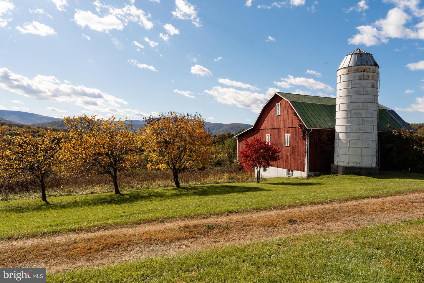 461 THUNDERBIRD RD, BENTONVILLE, Virginia 22610, ,Farm,For sale,461 THUNDERBIRD RD,VAWR2013184 MLS # VAWR2013184 461 THUNDERBIRD RD, BENTONVILLE, Virginia 22610, ,Farm,For sale,461 THUNDERBIRD RD,VAWR2013184 MLS # VAWR2013184