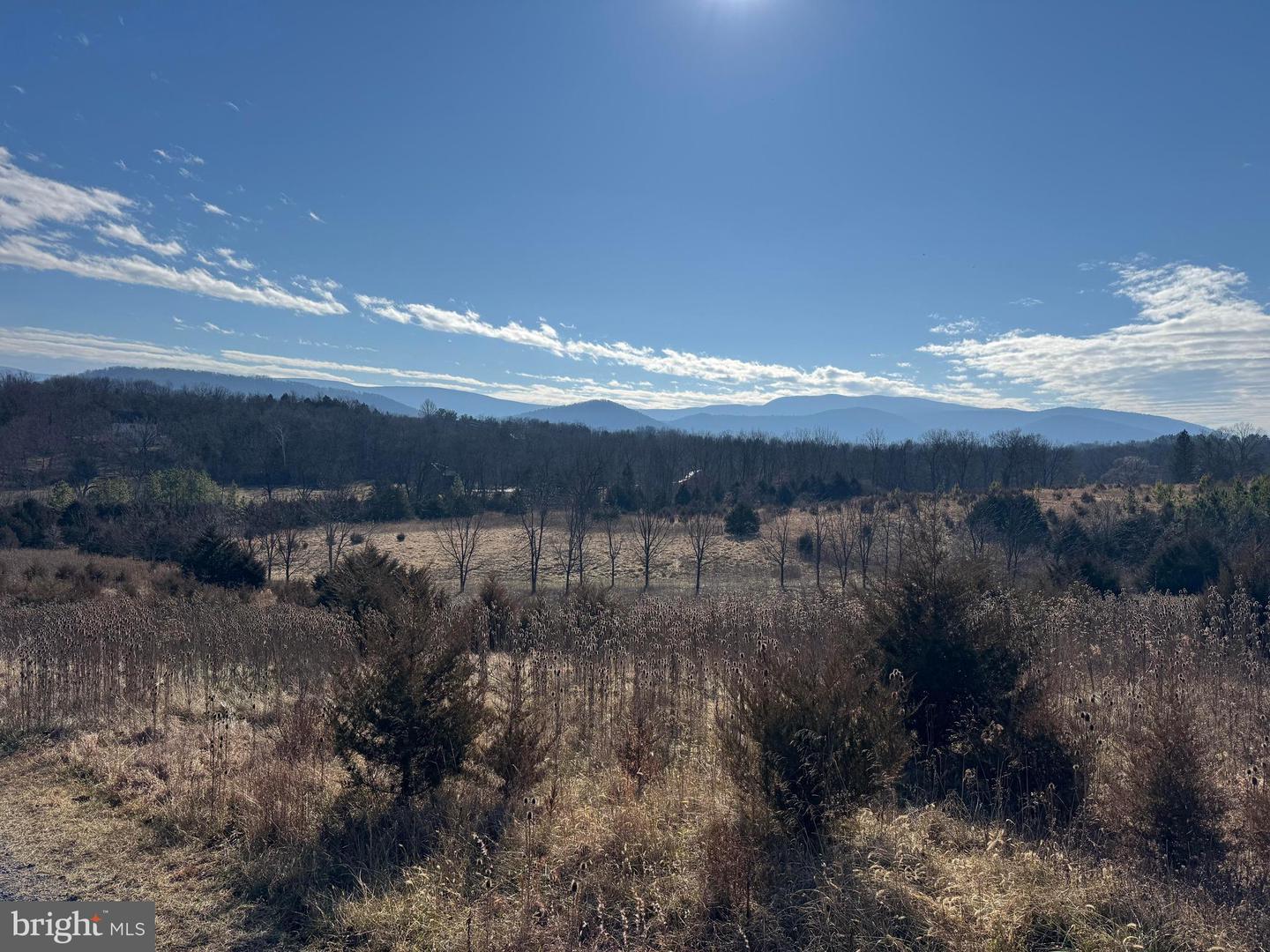 461 THUNDERBIRD RD, BENTONVILLE, Virginia 22610, ,Farm,For sale,461 THUNDERBIRD RD,VAWR2013184 MLS # VAWR2013184 461 THUNDERBIRD RD, BENTONVILLE, Virginia 22610, ,Farm,For sale,461 THUNDERBIRD RD,VAWR2013184 MLS # VAWR2013184