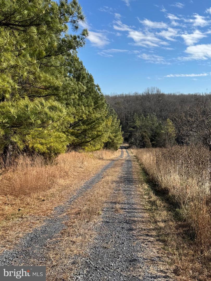 461 THUNDERBIRD RD, BENTONVILLE, Virginia 22610, ,Farm,For sale,461 THUNDERBIRD RD,VAWR2013184 MLS # VAWR2013184 461 THUNDERBIRD RD, BENTONVILLE, Virginia 22610, ,Farm,For sale,461 THUNDERBIRD RD,VAWR2013184 MLS # VAWR2013184