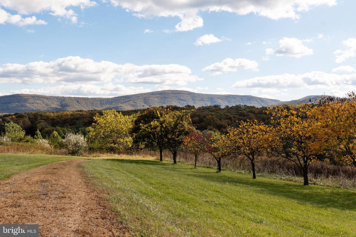 461 THUNDERBIRD RD, BENTONVILLE, Virginia 22610, ,Farm,For sale,461 THUNDERBIRD RD,VAWR2013184 MLS # VAWR2013184 461 THUNDERBIRD RD, BENTONVILLE, Virginia 22610, ,Farm,For sale,461 THUNDERBIRD RD,VAWR2013184 MLS # VAWR2013184