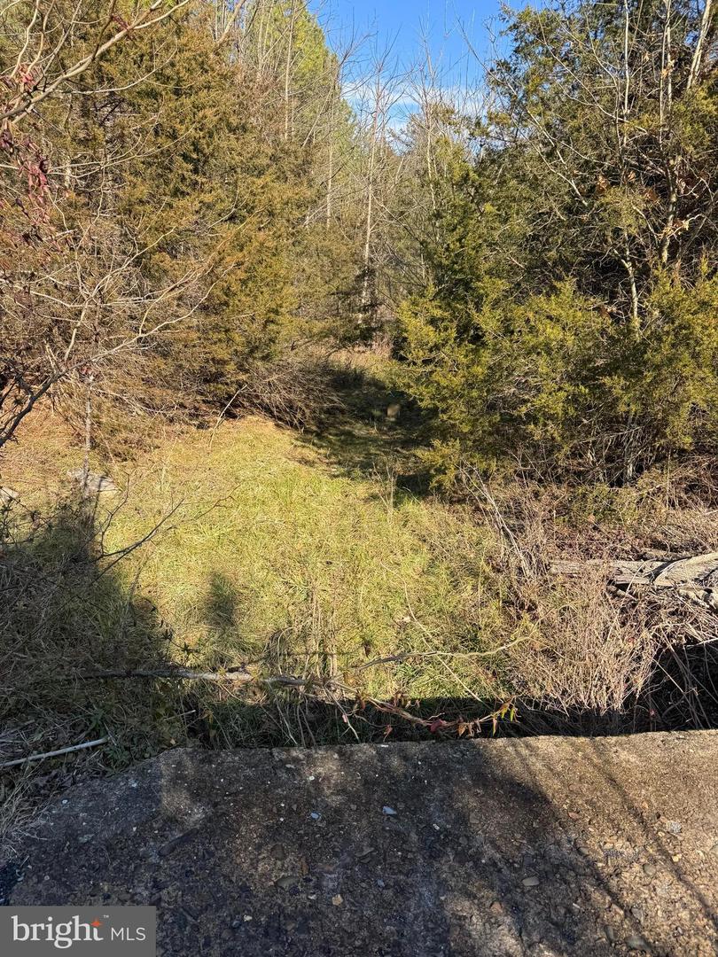 461 THUNDERBIRD RD, BENTONVILLE, Virginia 22610, ,Farm,For sale,461 THUNDERBIRD RD,VAWR2013184 MLS # VAWR2013184 461 THUNDERBIRD RD, BENTONVILLE, Virginia 22610, ,Farm,For sale,461 THUNDERBIRD RD,VAWR2013184 MLS # VAWR2013184