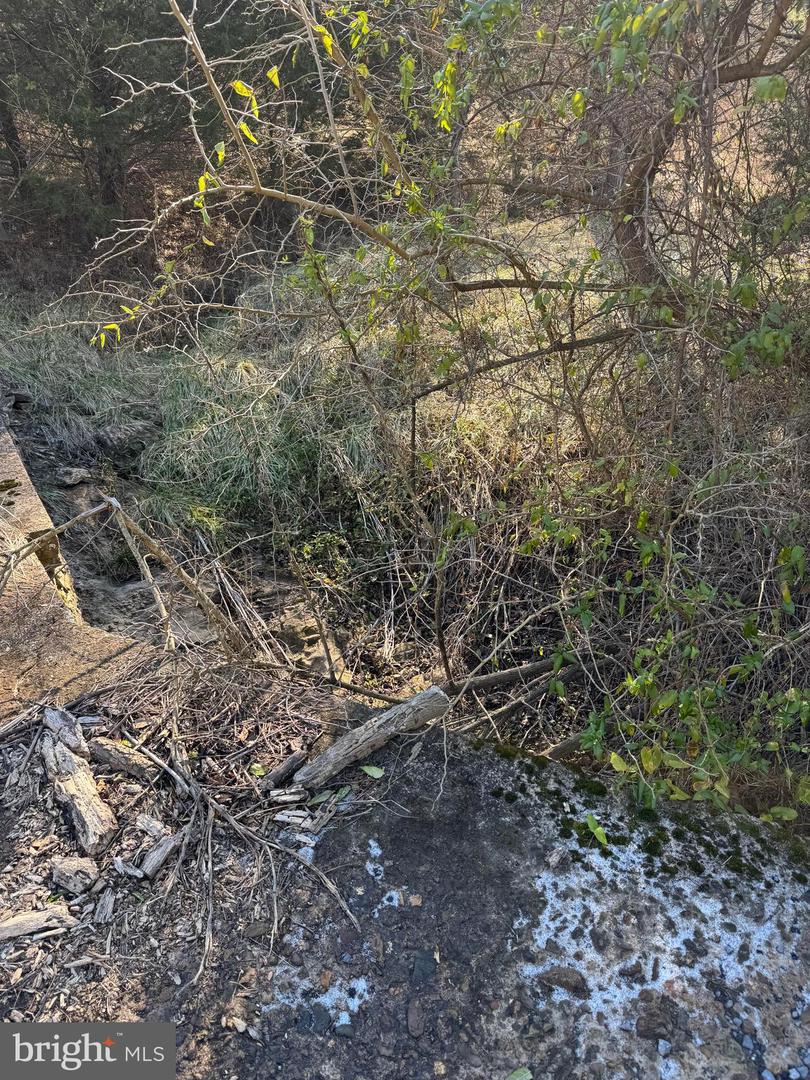 461 THUNDERBIRD RD, BENTONVILLE, Virginia 22610, ,Farm,For sale,461 THUNDERBIRD RD,VAWR2013184 MLS # VAWR2013184 461 THUNDERBIRD RD, BENTONVILLE, Virginia 22610, ,Farm,For sale,461 THUNDERBIRD RD,VAWR2013184 MLS # VAWR2013184