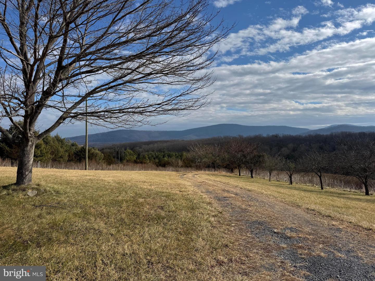 461 THUNDERBIRD RD, BENTONVILLE, Virginia 22610, ,Farm,For sale,461 THUNDERBIRD RD,VAWR2013184 MLS # VAWR2013184 461 THUNDERBIRD RD, BENTONVILLE, Virginia 22610, ,Farm,For sale,461 THUNDERBIRD RD,VAWR2013184 MLS # VAWR2013184
