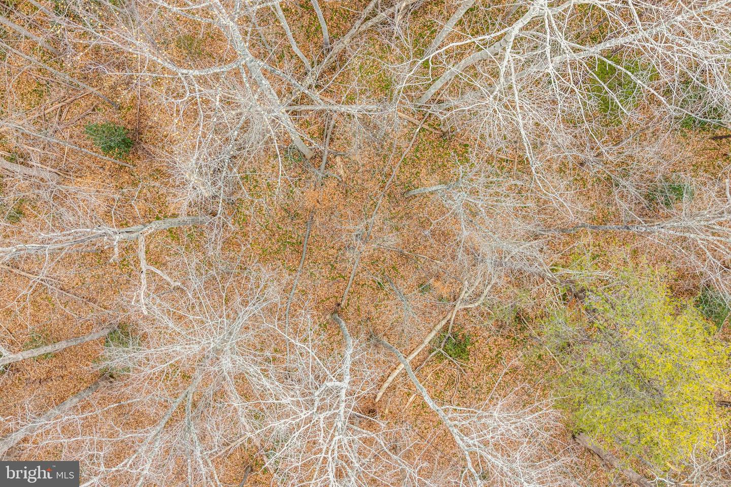 201 DOE WAY, FREDERICKSBURG, Virginia 22406, ,Land,For sale,201 DOE WAY,VAST2045220 MLS # VAST2045220