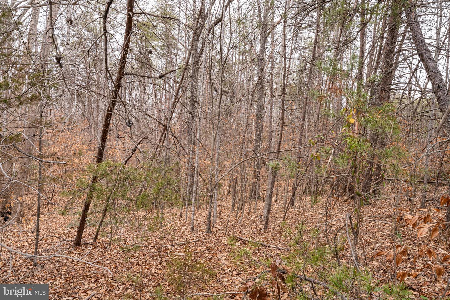 201 DOE WAY, FREDERICKSBURG, Virginia 22406, ,Land,For sale,201 DOE WAY,VAST2045220 MLS # VAST2045220