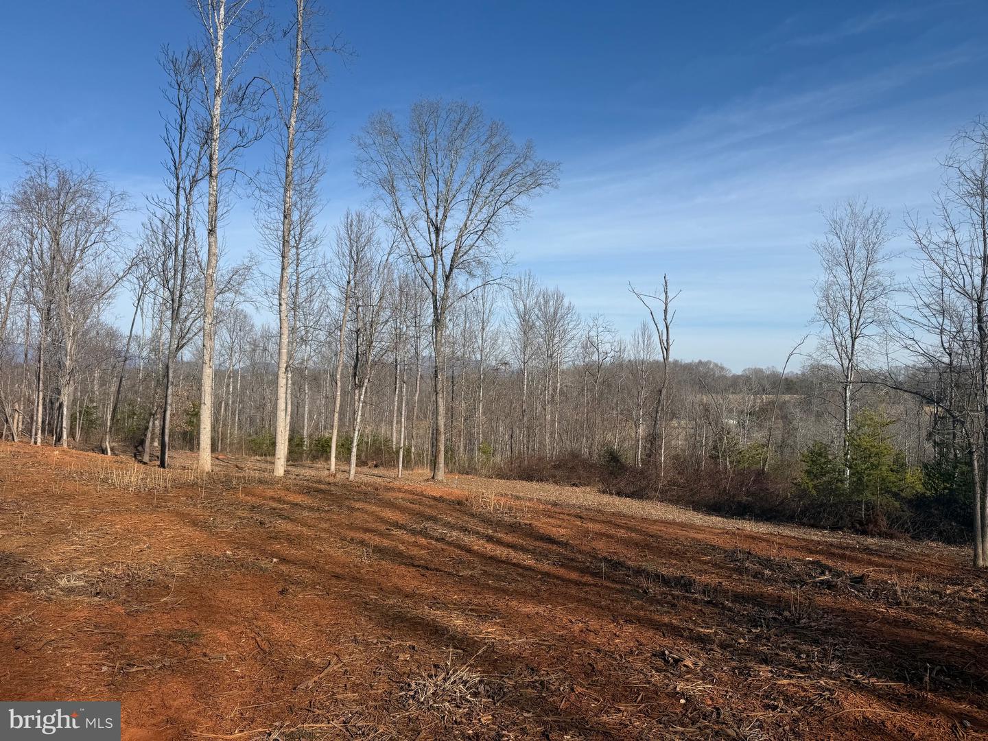 0- WINGFIELD DRIVE, GOODE, Virginia 24556, ,Land,For sale,0- WINGFIELD DRIVE,VABV2000272 MLS # VABV2000272