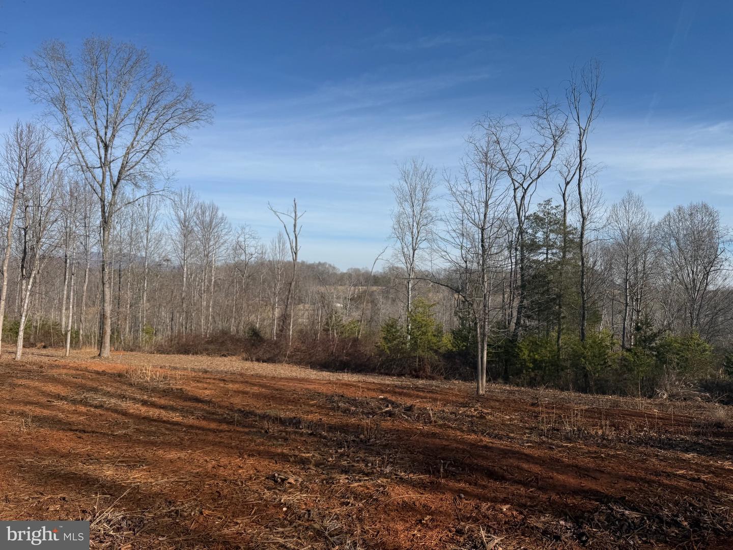 0- WINGFIELD DRIVE, GOODE, Virginia 24556, ,Land,For sale,0- WINGFIELD DRIVE,VABV2000272 MLS # VABV2000272