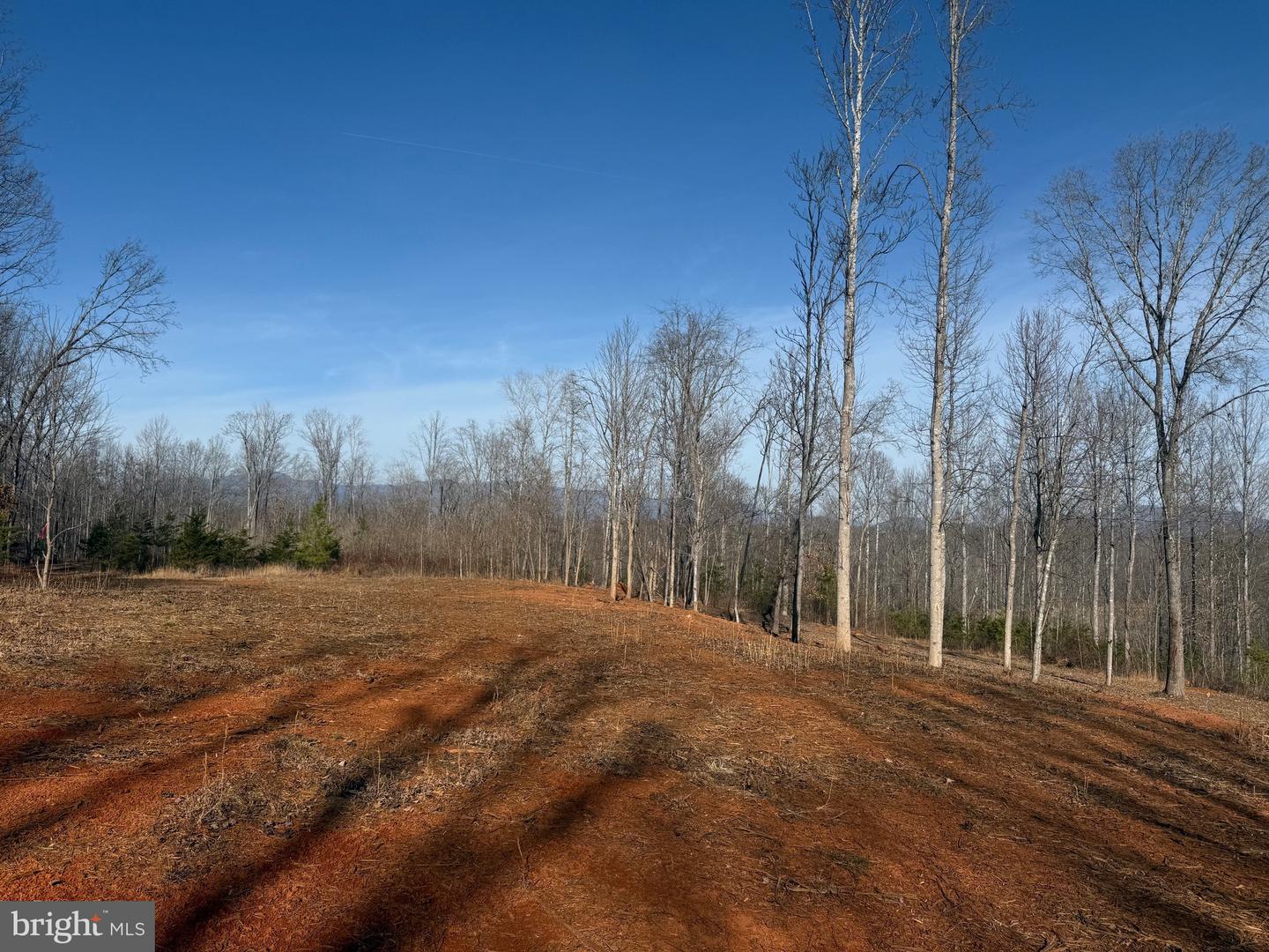 0- WINGFIELD DRIVE, GOODE, Virginia 24556, ,Land,For sale,0- WINGFIELD DRIVE,VABV2000272 MLS # VABV2000272