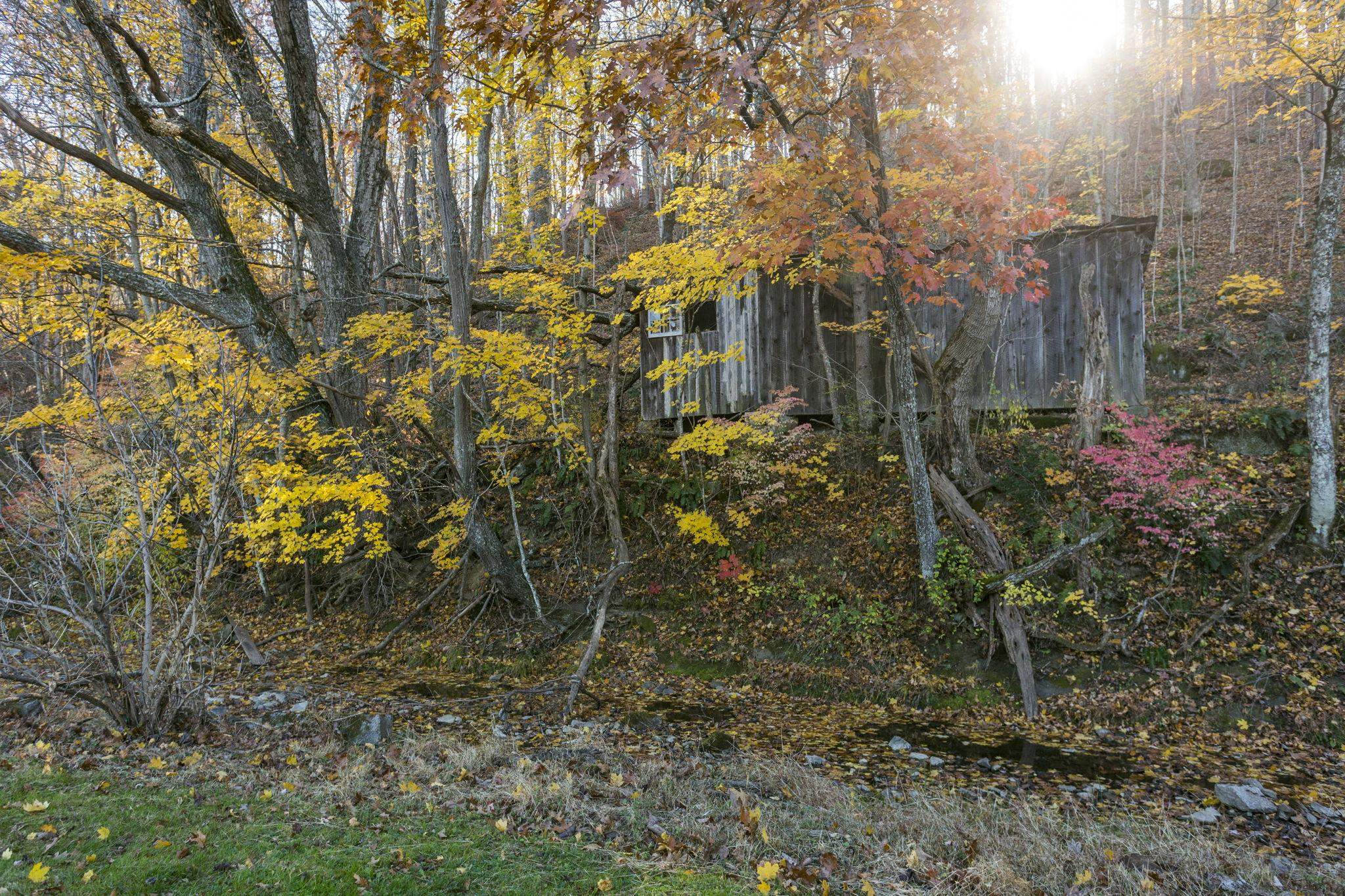 165 W RAILROAD AVE, CRAIGSVILLE, Virginia 24430, 4 Bedrooms Bedrooms, ,1 BathroomBathrooms,Residential,165 W RAILROAD AVE,670955 MLS # 670955 165 W RAILROAD AVE, CRAIGSVILLE, Virginia 24430, 4 Bedrooms Bedrooms, ,1 BathroomBathrooms,Residential,165 W RAILROAD AVE,670955 MLS # 670955