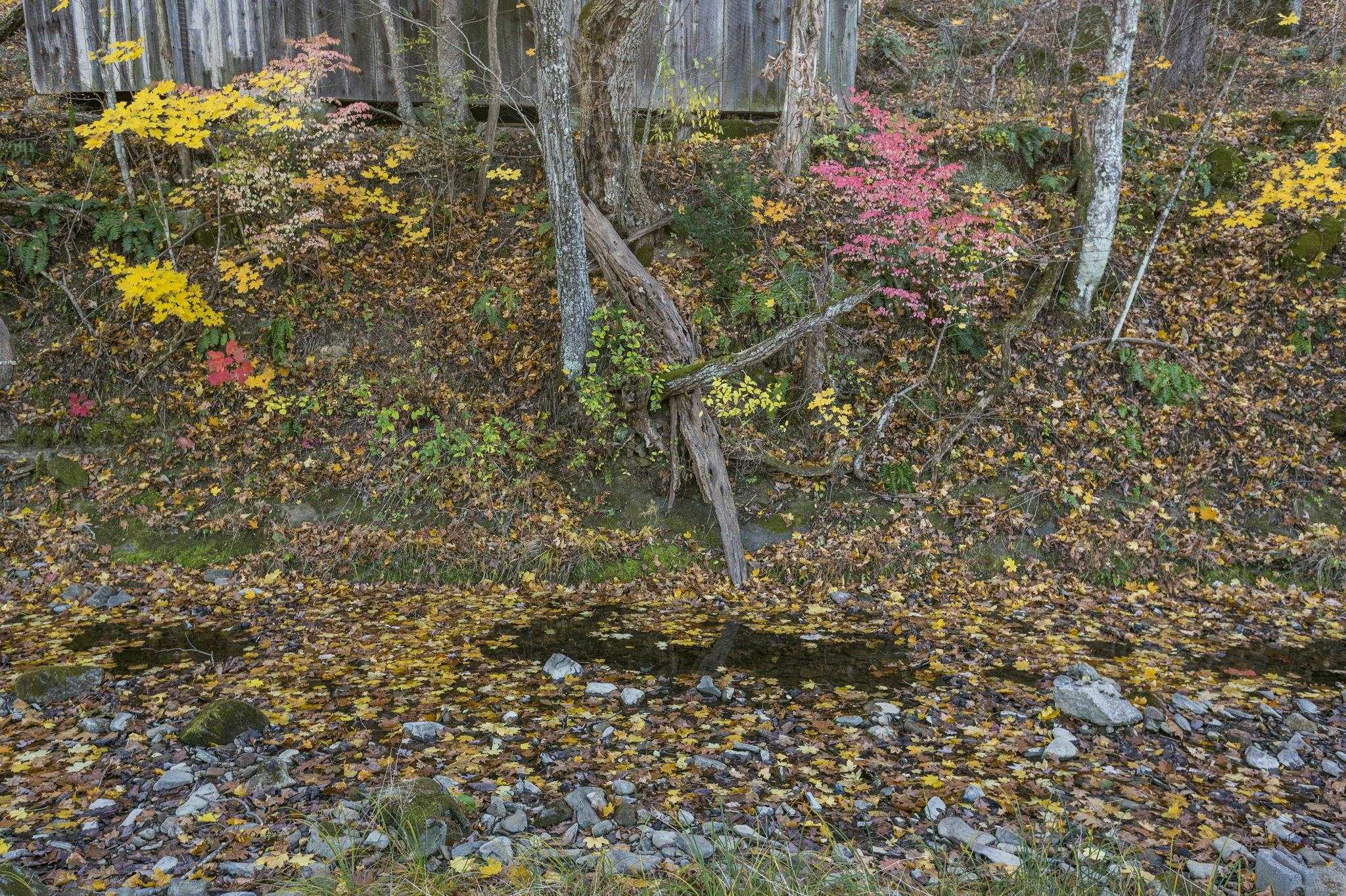 165 W RAILROAD AVE, CRAIGSVILLE, Virginia 24430, 4 Bedrooms Bedrooms, ,1 BathroomBathrooms,Residential,165 W RAILROAD AVE,670955 MLS # 670955 165 W RAILROAD AVE, CRAIGSVILLE, Virginia 24430, 4 Bedrooms Bedrooms, ,1 BathroomBathrooms,Residential,165 W RAILROAD AVE,670955 MLS # 670955