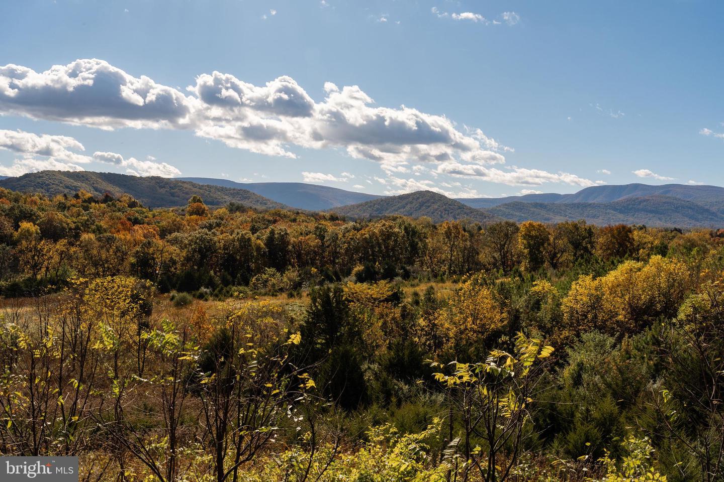 461 THUNDERBIRD RD, BENTONVILLE, Virginia 22610, 6 Bedrooms Bedrooms, ,3 BathroomsBathrooms,Residential,For sale,461 THUNDERBIRD RD,VAWR2013182 MLS # VAWR2013182