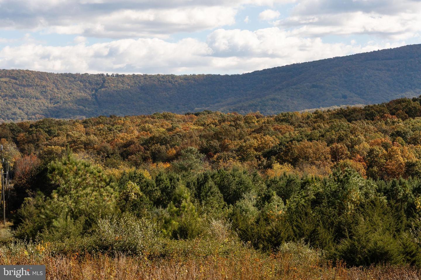 461 THUNDERBIRD RD, BENTONVILLE, Virginia 22610, 6 Bedrooms Bedrooms, ,3 BathroomsBathrooms,Residential,For sale,461 THUNDERBIRD RD,VAWR2013182 MLS # VAWR2013182